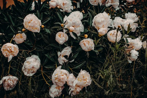 Améliorations Immobilières pour l'Accessibilité : Guide Complet et Essentiel